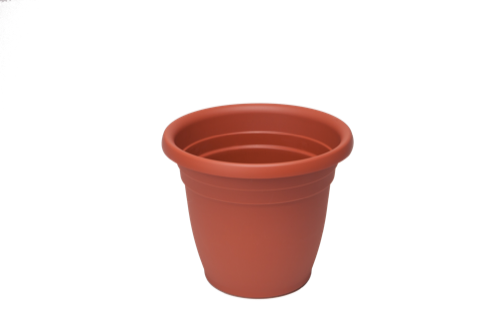 VASO FIORI CAMP.THEA CM.85 COTTO R20085 